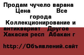 Продам чучело варана. › Цена ­ 15 000 - Все города Коллекционирование и антиквариат » Другое   . Хакасия респ.,Абакан г.